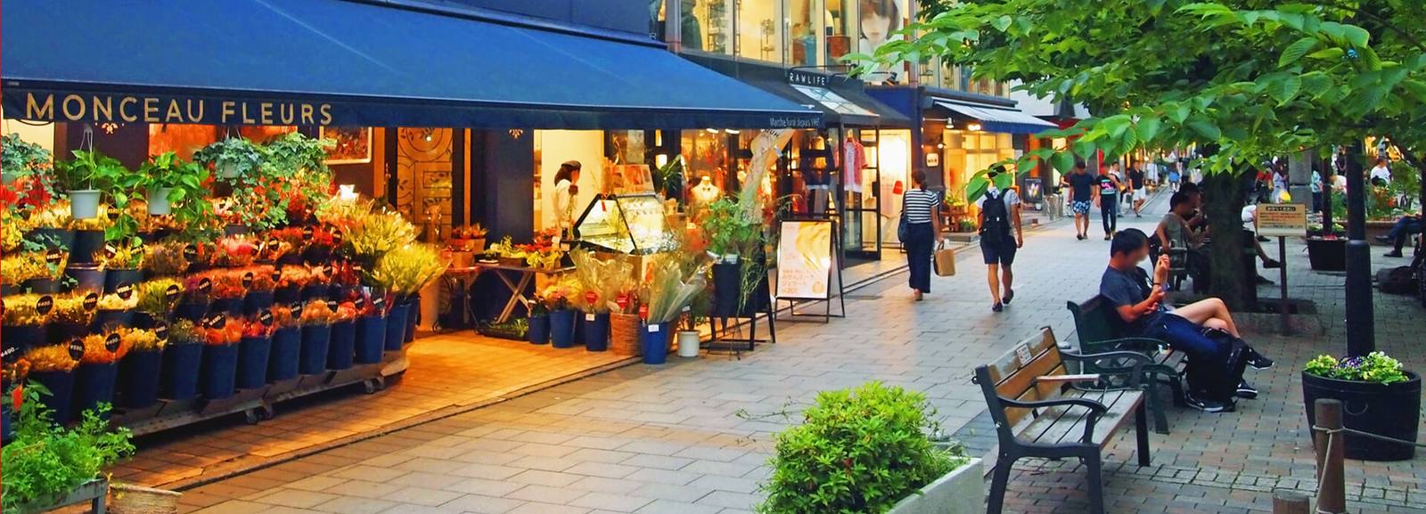九品仏川緑道の桜並木